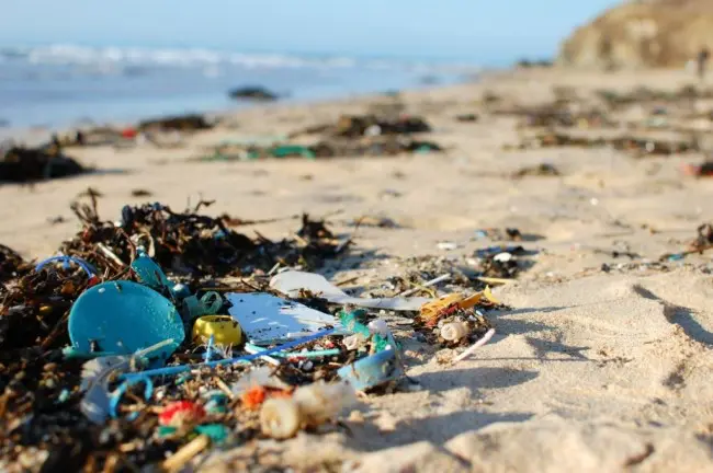 Beach Clean Up in Egmond aan Zee als duurzame activiteit